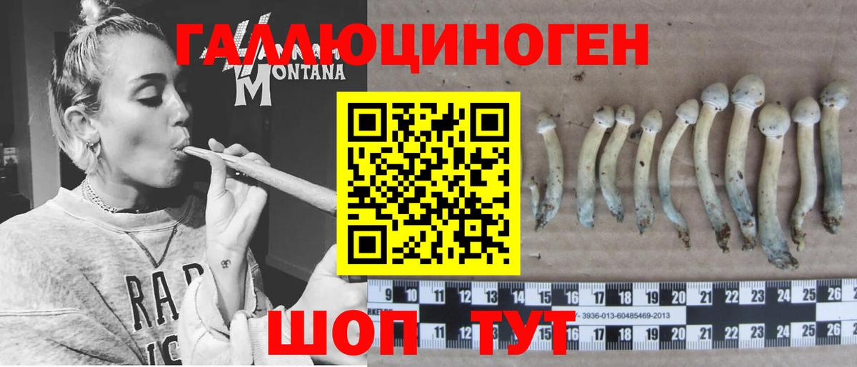 Галлюциногенные грибы Cubensis  Вход с VPN  Егорьевск 