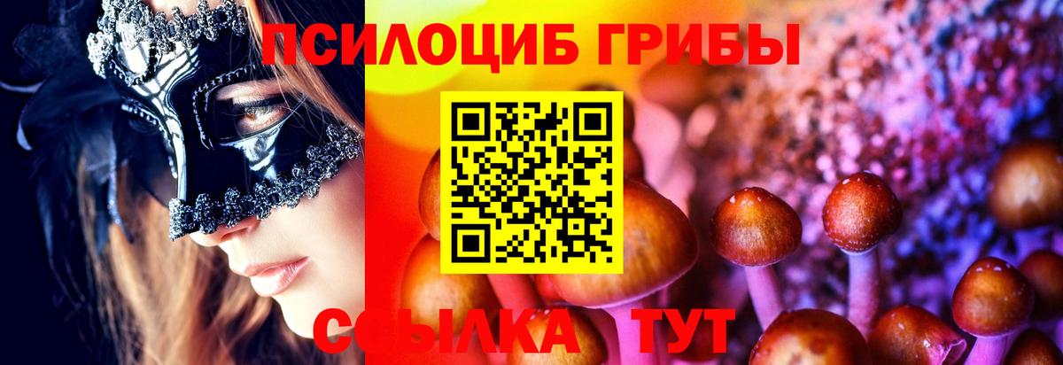 Псилоцибиновые грибы мухоморы Егорьевск